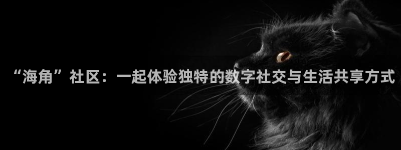 海角社区聊天是真的吗：“海角”社区：一起体验独特的数字社交与生活共享方式