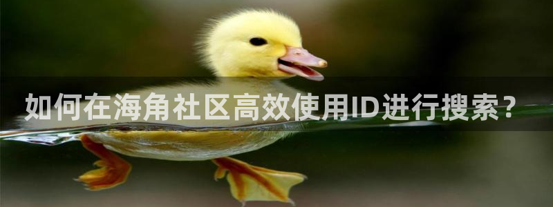 兄弟们海角社区怎么进：如何在海角社区高效使用ID进行搜索？