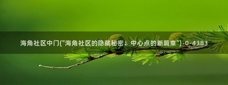 海角社区怎么没有了：海角社区中门(\