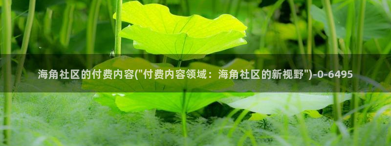 海角社区区：海角社区的付费内容(\