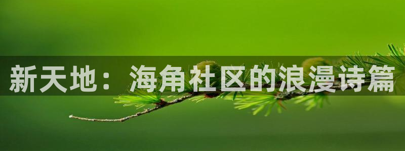 海角社区赚钱么：新天地：海角社区的浪漫诗篇