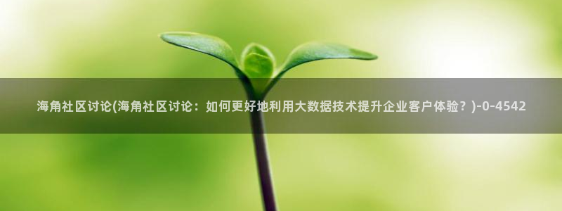 海角社区网址是干嘛的：海角社区讨论(海角社区讨论：如何更好地利用大数据技术提升企业客户体验？)